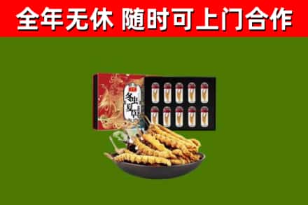 富民回收冬虫夏草价格